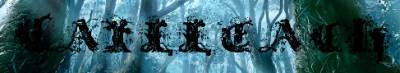 logo Cailleach