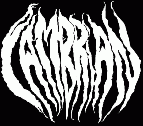 logo Cambrian