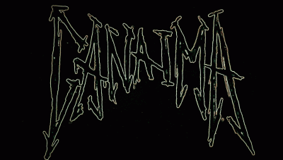 logo Canaima