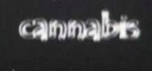 logo Cannabis logo Cannabis