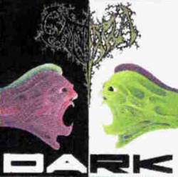 Cantara : Dark