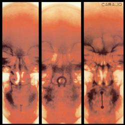 Carajo : Carajografía