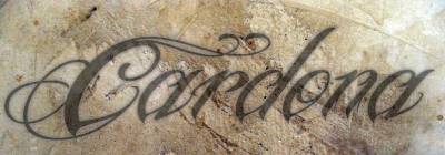 logo Cardona
