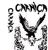 Carniça : Carniça