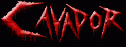 logo Cavador logo Cavador