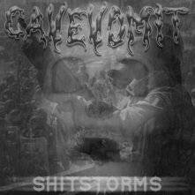 Shitstorms