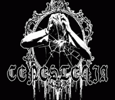 logo Cenestenia logo Cenestenia