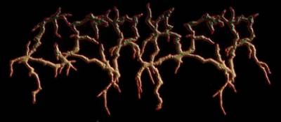 logo Cerber (RUS-4) logo Cerber (RUS-4)