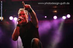 interview Chinchilla