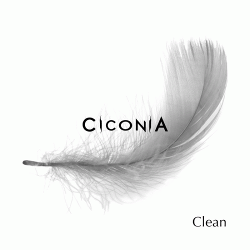 Ciconia : Clean