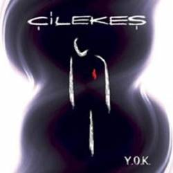 Cilekes : Y.O.K.