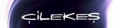 logo Cilekes