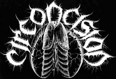 logo Circoncision