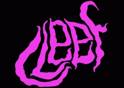 logo Cleef