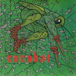 Cocobat : Grasshopper