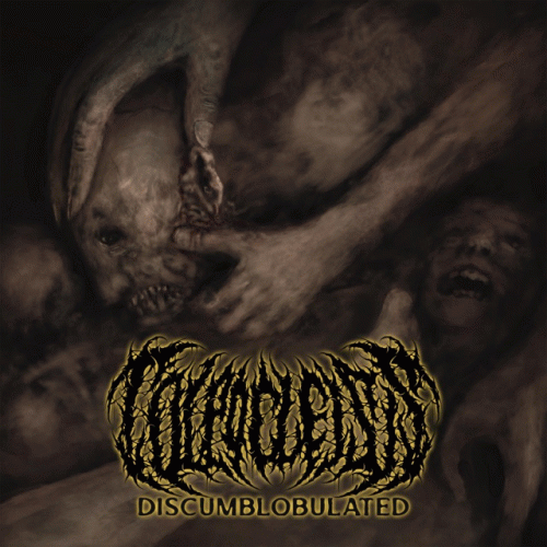 Colpocleisis : Discumblobulated