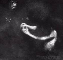 Compilations : Wurzelgeister