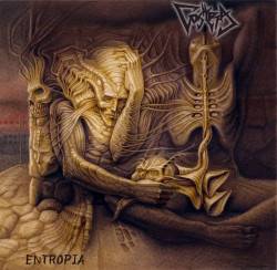Entropia
