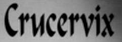 logo Crucervix