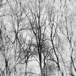 Cryostasium : Winter