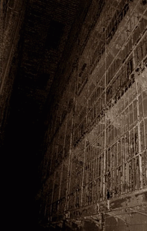 Ctenizidae : Xulgrem