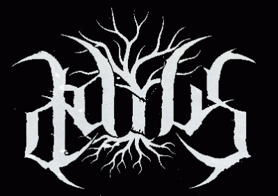 logo Daius
