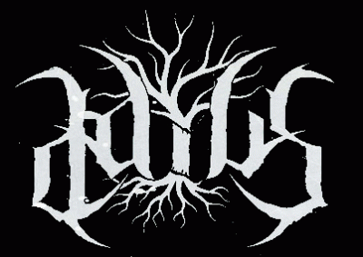 logo Daius logo Daius