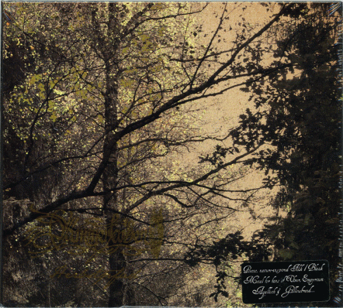 Dämmerfarben : Herbstpfad