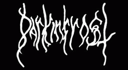 logo Darkinfrost