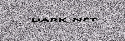 logo Dark Net