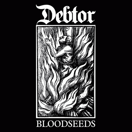 Debtor : Bloodseeds