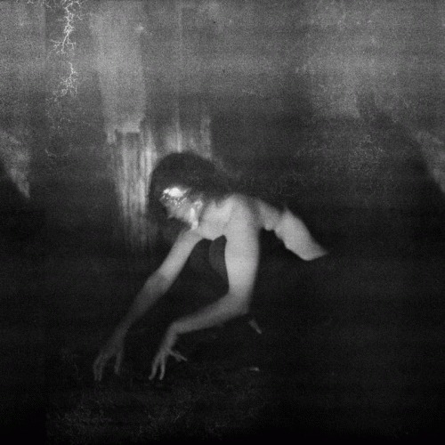 Demande A La Poussière : Quiétude Hostile