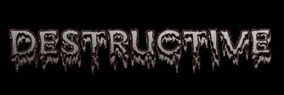 logo Destructive