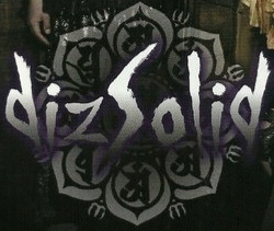 logo DisZolid logo DisZolid