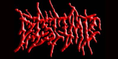 logo Dislimb logo Dislimb