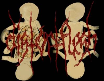 logo Distortflesh