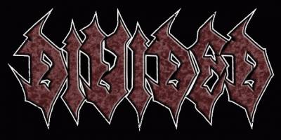 logo Divided (BLR) logo Divided (BLR)