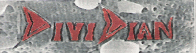 logo Dividian