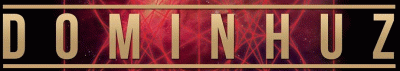 logo Dominhuz