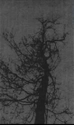 Drakonhail : Leerheit