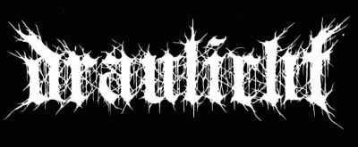 logo Draulicht logo Draulicht