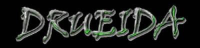 logo Drueida