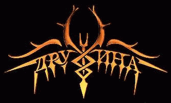 logo Druzhina