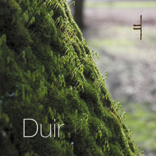 Duir : Tribe