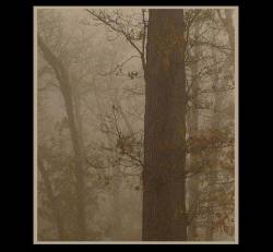 EDIEH : Abandounen EDIEH : Abandounen