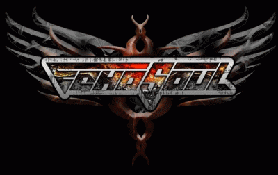 logo EchoSoul logo EchoSoul