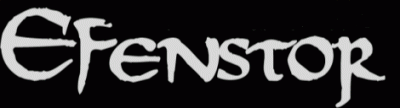 logo Efenstor