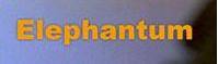 logo Elephantum