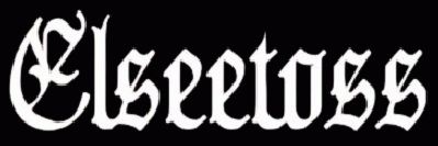 logo Elseetoss
