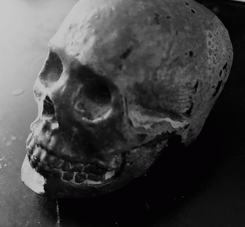 Emperor Ov Larvae : The Third War